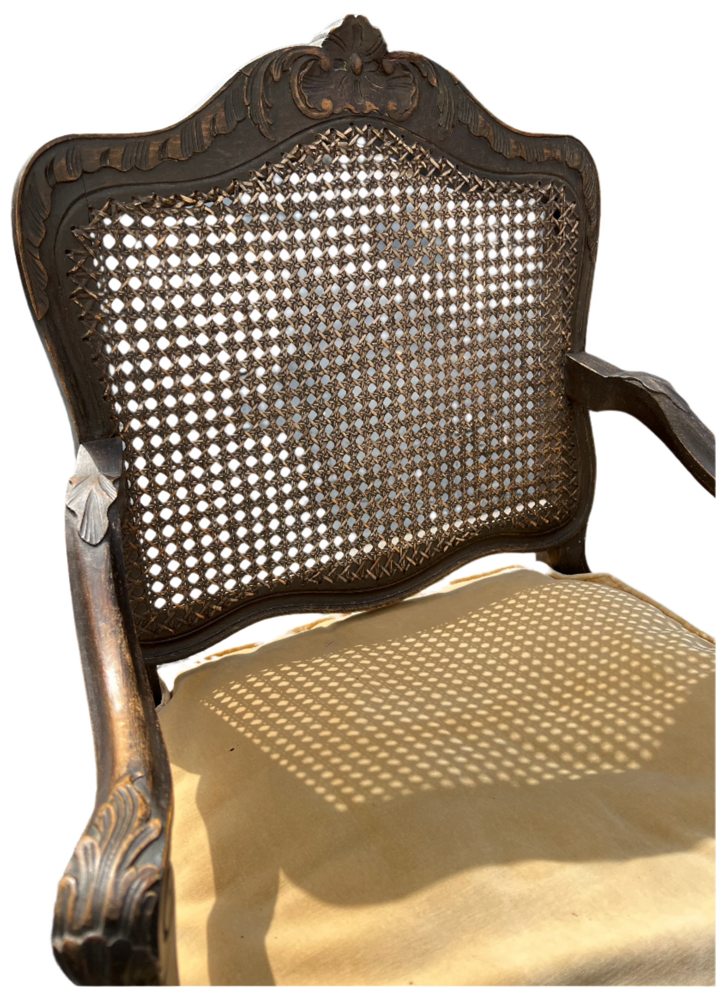 Louis XVI Cane-Back Wooden Arm Chairs with Velvet Cushions