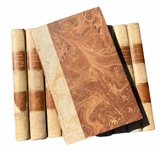 Antique Set of 10 Insect Books – Entomology Studies, 1879