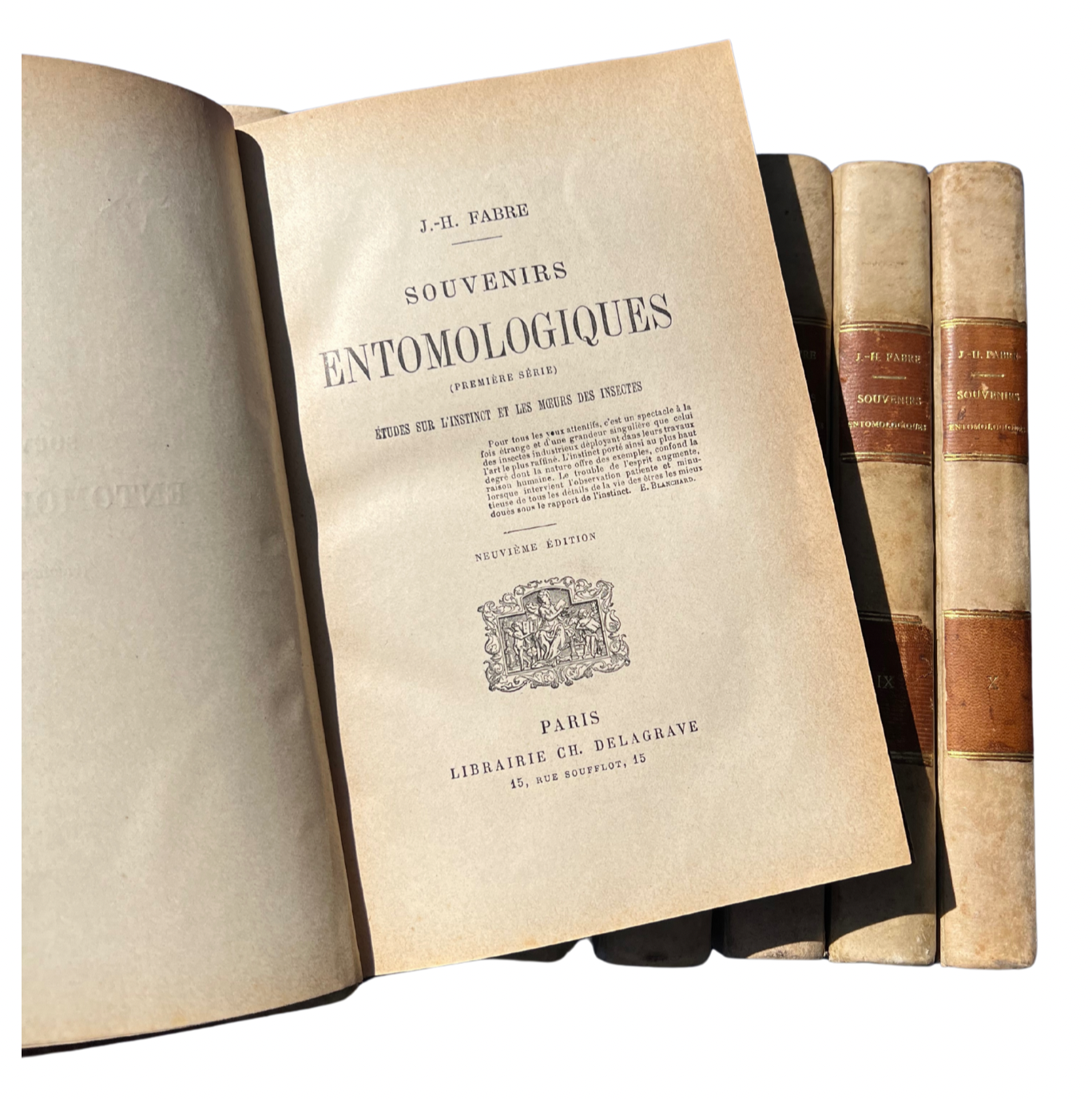 Antique Set of 10 Insect Books – Entomology Studies, 1879