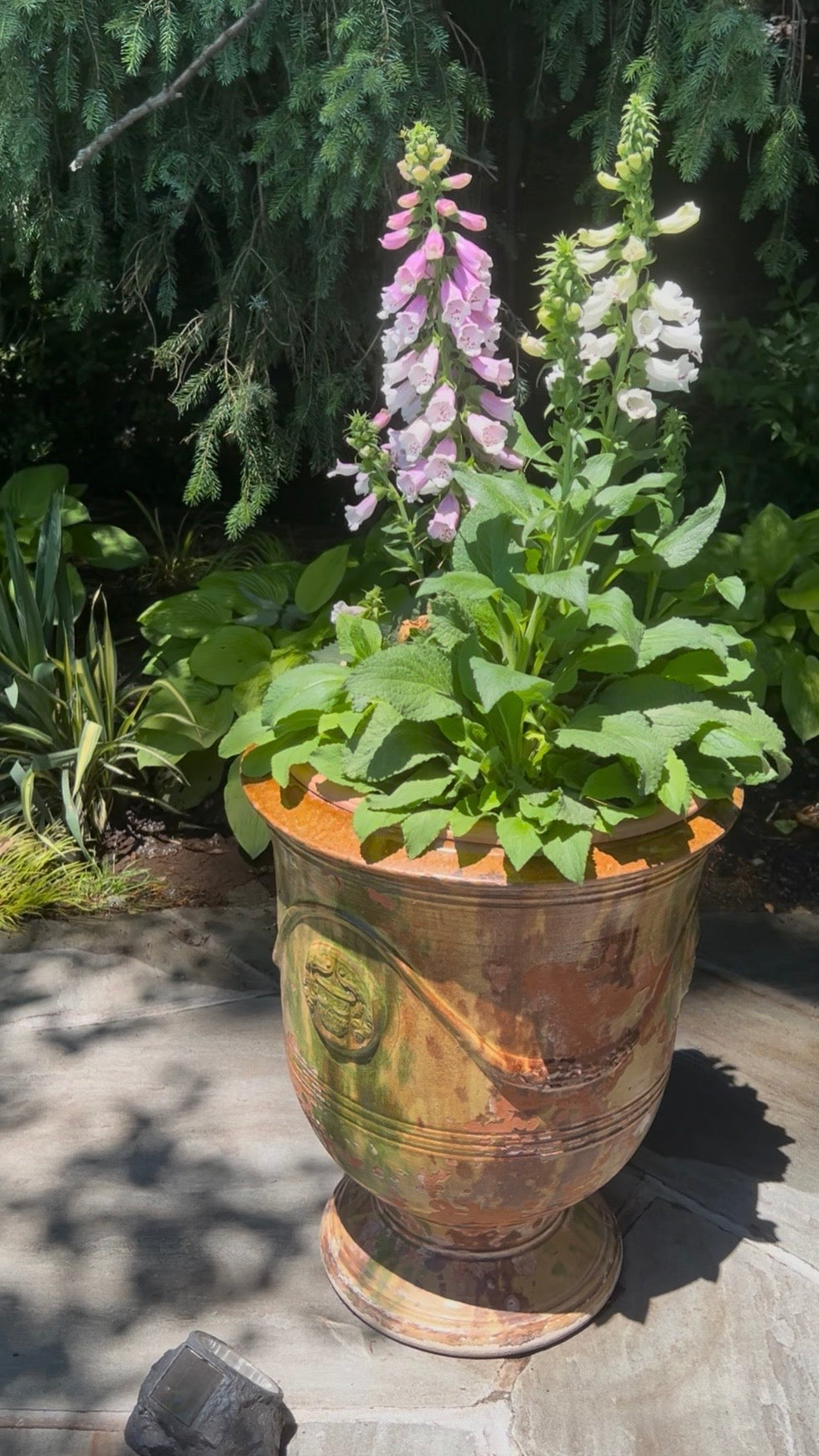 Large French 19th Century Boisset Anduze Provençal Planter