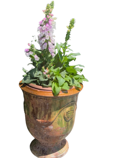 Large French 19th Century Boisset Anduze Provençal Planter